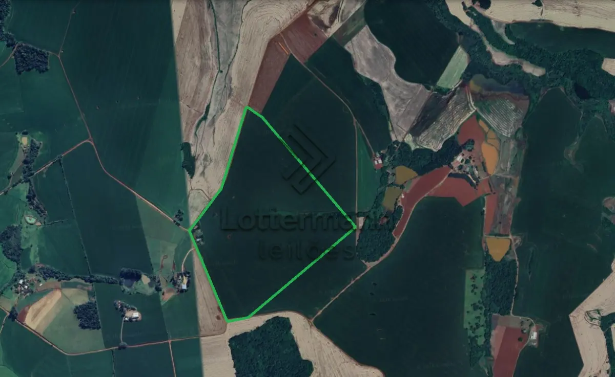 LOTE 001