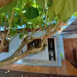 LOTE 001 - IMÓVEL URBANO MATRÍCULA 17.252 SANTO AUGUSTO/RS